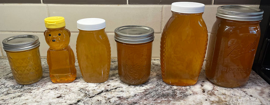 Honey jars lined up on a table